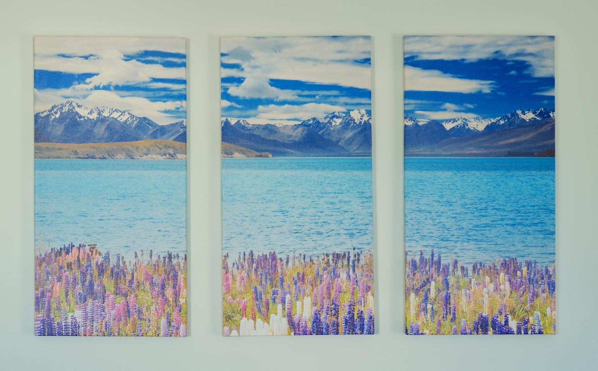 Kingfisher Lodge Lake Tekapo Phòng bức ảnh